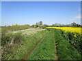 Permissive path alongside a drain near Langtoft in PE6 9RG