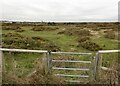 Enclosure near Hengistbury Head in BH6 4BY
