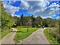 Paths in Sutton Manor Woodland in L35 6NU