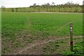 Start of the footpath to Braughing in SG11 1TF