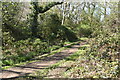 Path in woodland south of Casterbridge Road in BH22 8SF