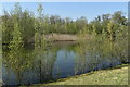 Small side lake at Longham in BH11 9NZ