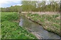 Woodland along the River Rib in SG11 2PD