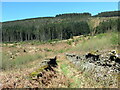 Llwybr ceffyl ger Glyncorrwg/ Bridleway near Glyncorrwg in Cymer and Glyncorrwg Community