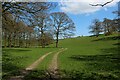 Track beside Oak Wood in Preston Patrick