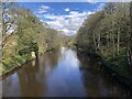 River Wear from the New Bridge, Lambton Park in Bournmoor