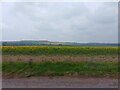 Farmland near Boscombe Down in SP4 0EL