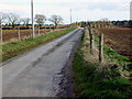 Grateley - The Road To Gollards Farm in SP11 8JG