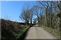 Country Lane heading West towards Gatebeck in LA8 0HT