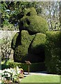 Topiary, Greenbank Garden in G76 8RE