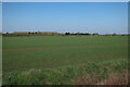 Fields by Bannold Drove in CB25 9LP
