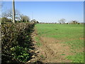 Unofficial footpath alongside the A15 in PE6 9ND