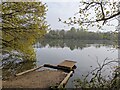 Jetty on Black Swan Lake at Dinton Pastures Country Park in RG5 4UE