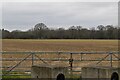 Field by Tapner's Rd in RH2 8NP