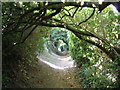Footpath from Salthouse church in Salthouse