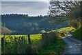 Twitchen : Country Lane in EX36 3ND