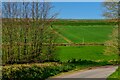 Twitchen : Country Lane in EX36 3LP