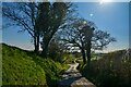 Twitchen : Country Lane in EX36 3LR