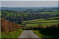 North Molton : Country Lane in EX36 3LR