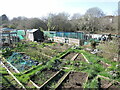 Marshfield Road allotments in BS16 3UT