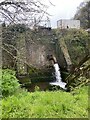 Water gushing into pond at Quoits Mill in SA71 4LS