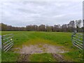 Field off Wheatlands Lane in RG20 0JT
