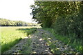 Footpath by Dicker's Wood in TN25 7JR