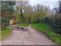 Bridleway to Woolton Hill Road in RG20 0PA
