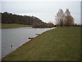 Artificial Lake, Offenham in WR11 8JY