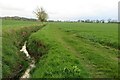 Stream and footpath to Hare Street Road in SG9 9HX