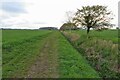 Footpath to Beauchamp's Plantation in SG9 9HX