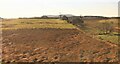 Rough pasture in Strathallan in FK15 0LR