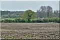 Runhall: Recently ploughed field in NR9 4DQ