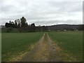 Track across field towards a cemetery in PH17 2QG
