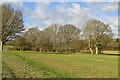 Woodland and pasture in TN11 9QU