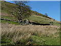 Ruined building above the road in Nant Ffrancon in LL57 3DQ