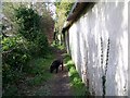 Footpath beside cobb wall, Homington in SP5 4NJ