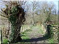 Footpath toward the River Ebble in SP5 4NJ