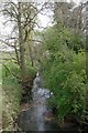 Downstream on Beauchamp Brook in Borley