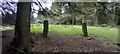 Gateposts in woodland west of Redmires Reservoirs in S10 4QZ