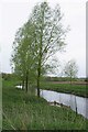 Willows by the River Stour in CO8 5JP