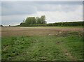 Footpath and prepared field near Lyddington in LE15 9HL