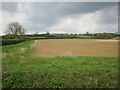 Prepared field near Lyddington in LE15 9HL