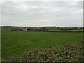 Field off the A371 Locking Moor Road  in BS29 6JB