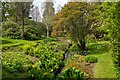 The Place for Plants: Garden & Arboretum, East Bergholt in CO7 6UT