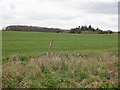 Field near Winchburgh in EH52 6FY