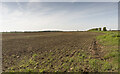 Field at Cocked Hat Farm in LN5 0QE
