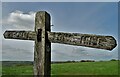 Signpost between Birchall and Lowe Hill in ST13 7LY