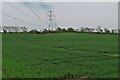 Power lines over farmland in SG9 0PB