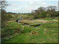 Bridges over the Bothlin Burn in G69 9JT